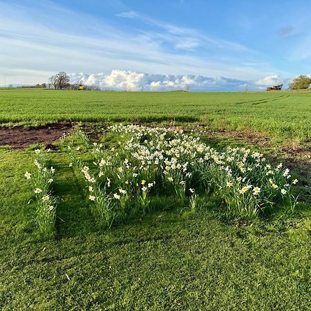 Stora Loenn Villa Falkenberg Buitenkant foto