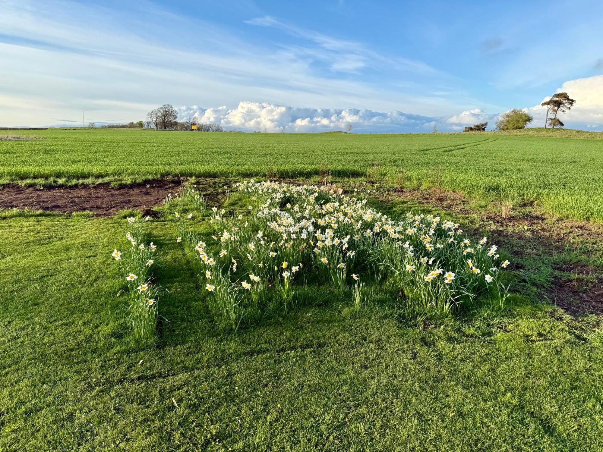Stora Loenn Villa Falkenberg Buitenkant foto
